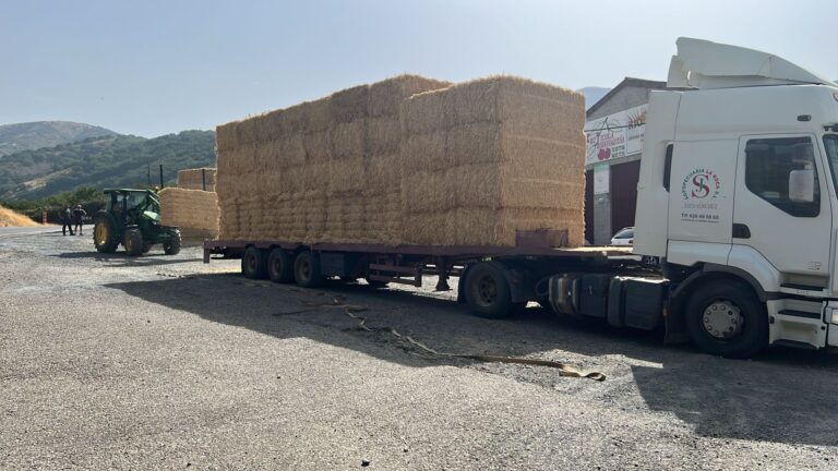 La Junta entrega paja a los ganaderos afectados por los distintos incendios de este verano