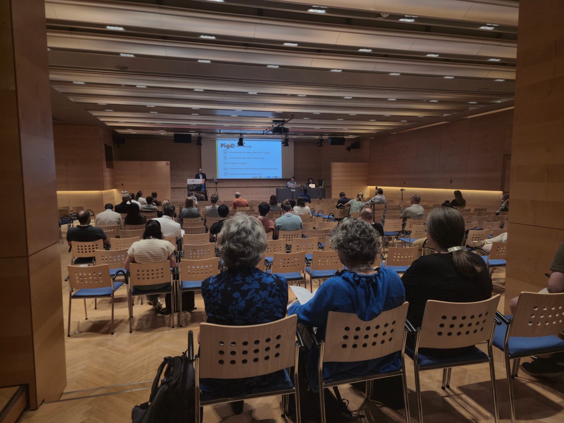 Un estudio experimental de CICYTEX demuestra que corderos merinos ganan peso comiendo ajo deshidratado