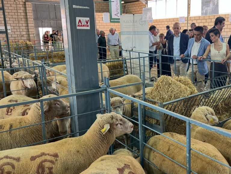 La Diputación de Badajoz reafirma su apoyo al sector ovino en la 40ª edición del Salón Ovino de Castuera