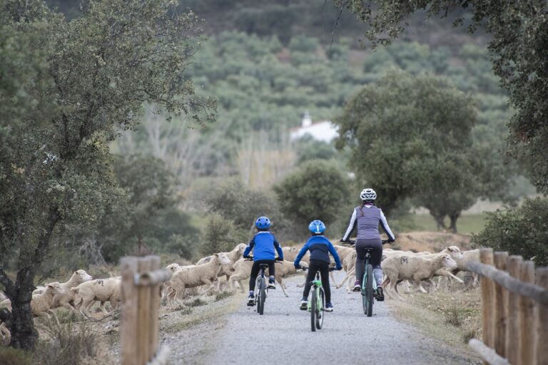La Junta promociona Extremadura en la primera feria dedicada al cicloturismo de España