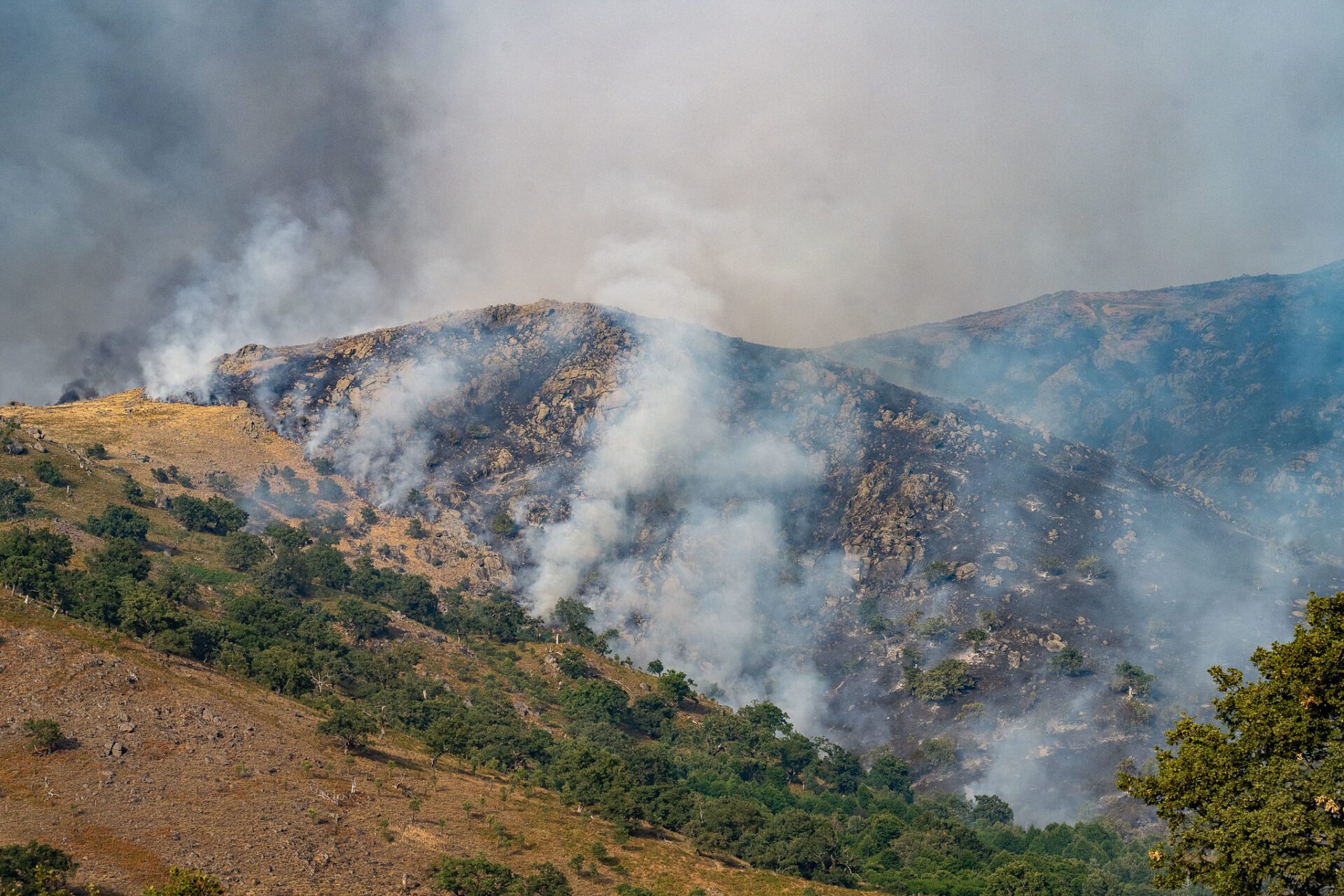 La Junta empezará a actuar en las ZAU de Caminomorisco y Jarilla sin esperar a que los incendios se den por extinguidos