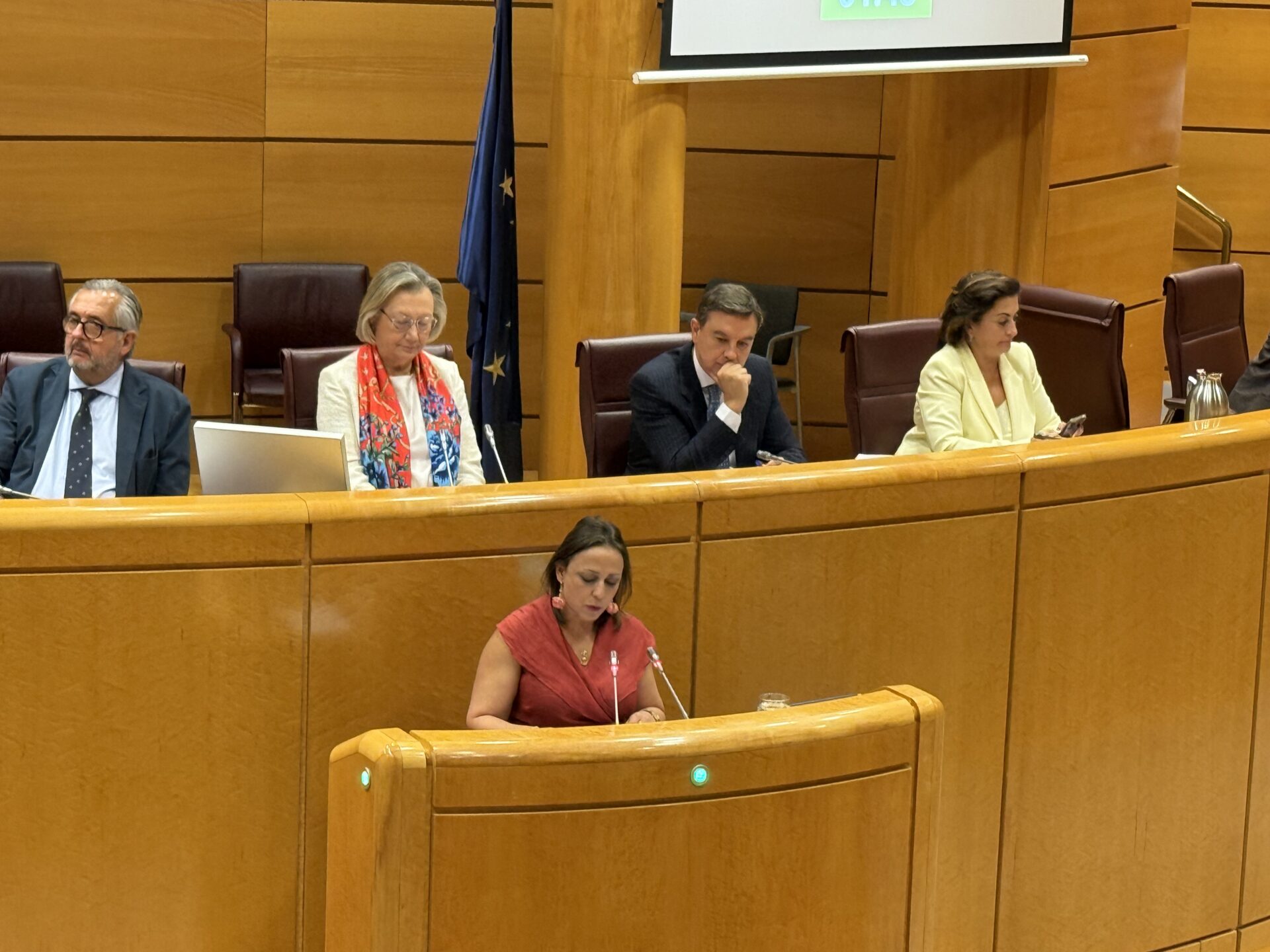 La secretaria general de Igualdad pide en el Senado una revisión profunda de las políticas contra la violencia de género ante la ineficacia de las actuales