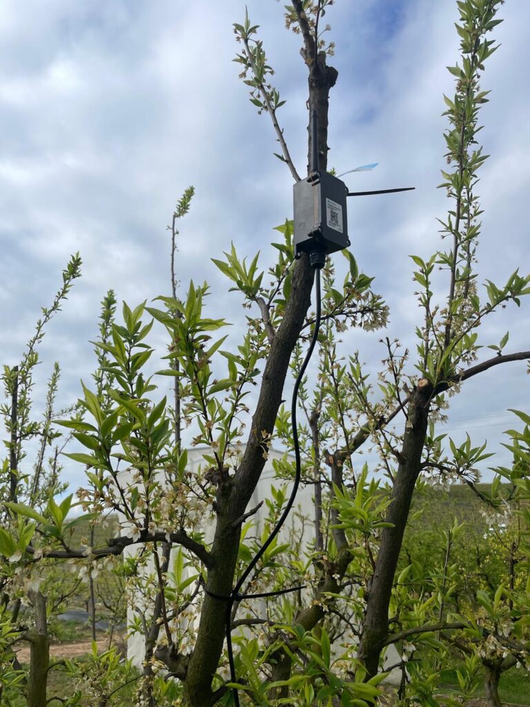 Extremadura participa en el proyecto transfronterizo AgriTech para acelerar la digitalización de pequeñas empresas agrarias en España, Francia y Portugal