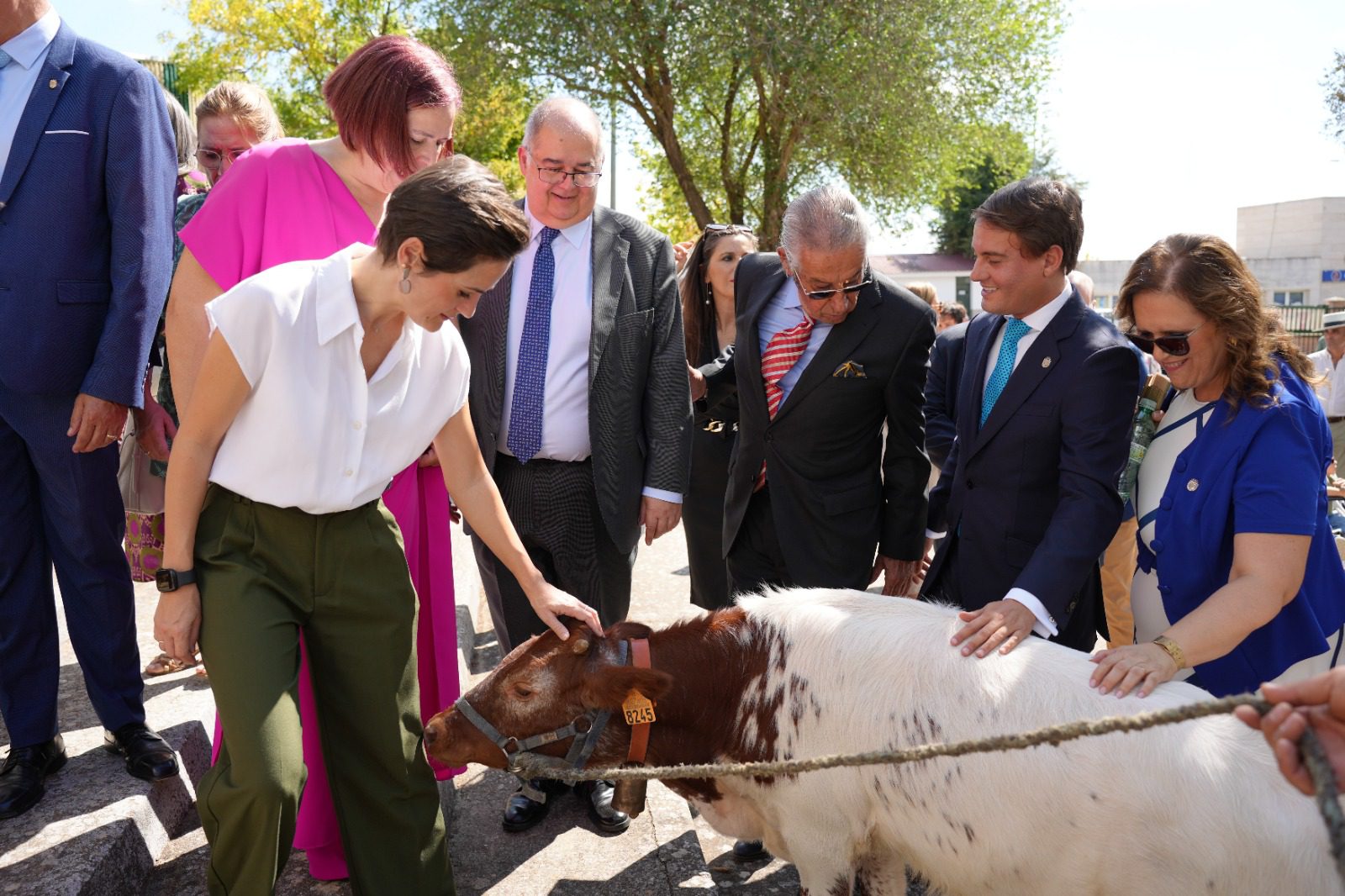 La Diputación de Badajoz vuelve a estar presente un año más en la Feria Internacional Ganadera de Zafra