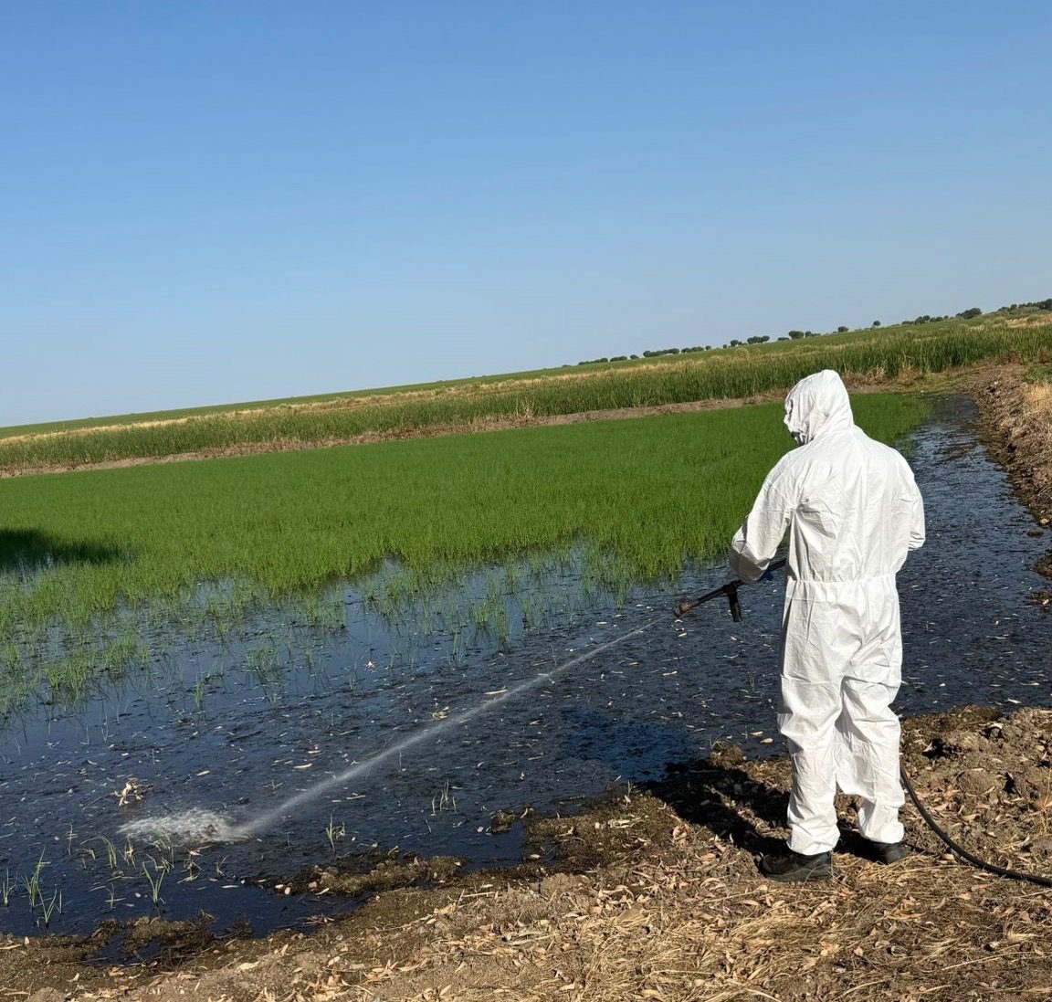 La Diputación de Badajoz concluye el Plan de Acción frente a Mosquitos en las Vegas Altas 2025