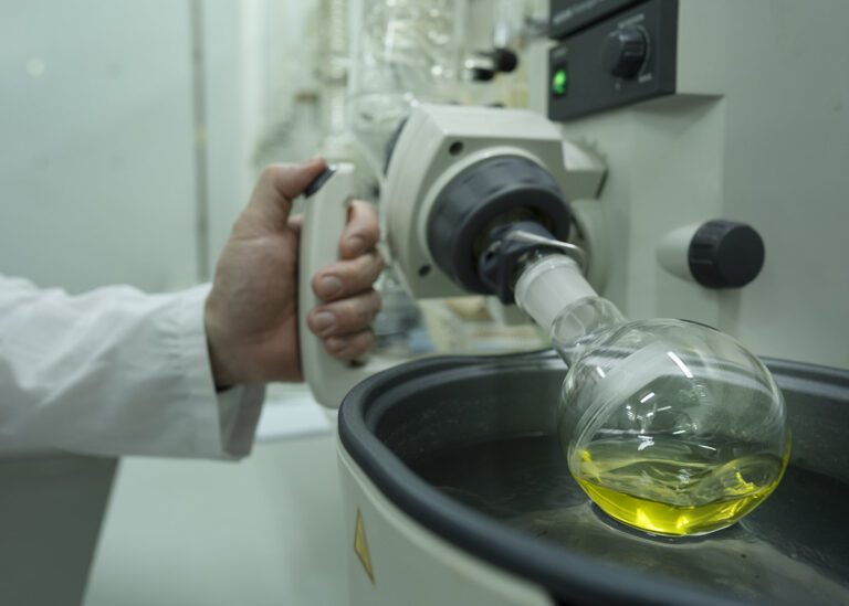 CICYTEX organiza una jornada para mostrar al sector oleícola herramientas digitales aplicadas
