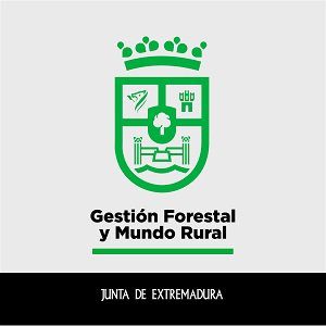 La Junta de Extremadura recepciona dos obras por más de medio millón de euros en Maguilla y Valencia de las Torres