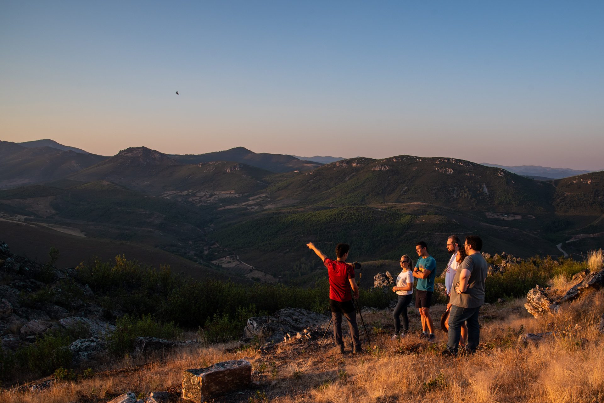La Junta abre mercado en la India para promocionar Extremadura como uno de los mejores destinos ornitológicos y de ecoturismo de Europa