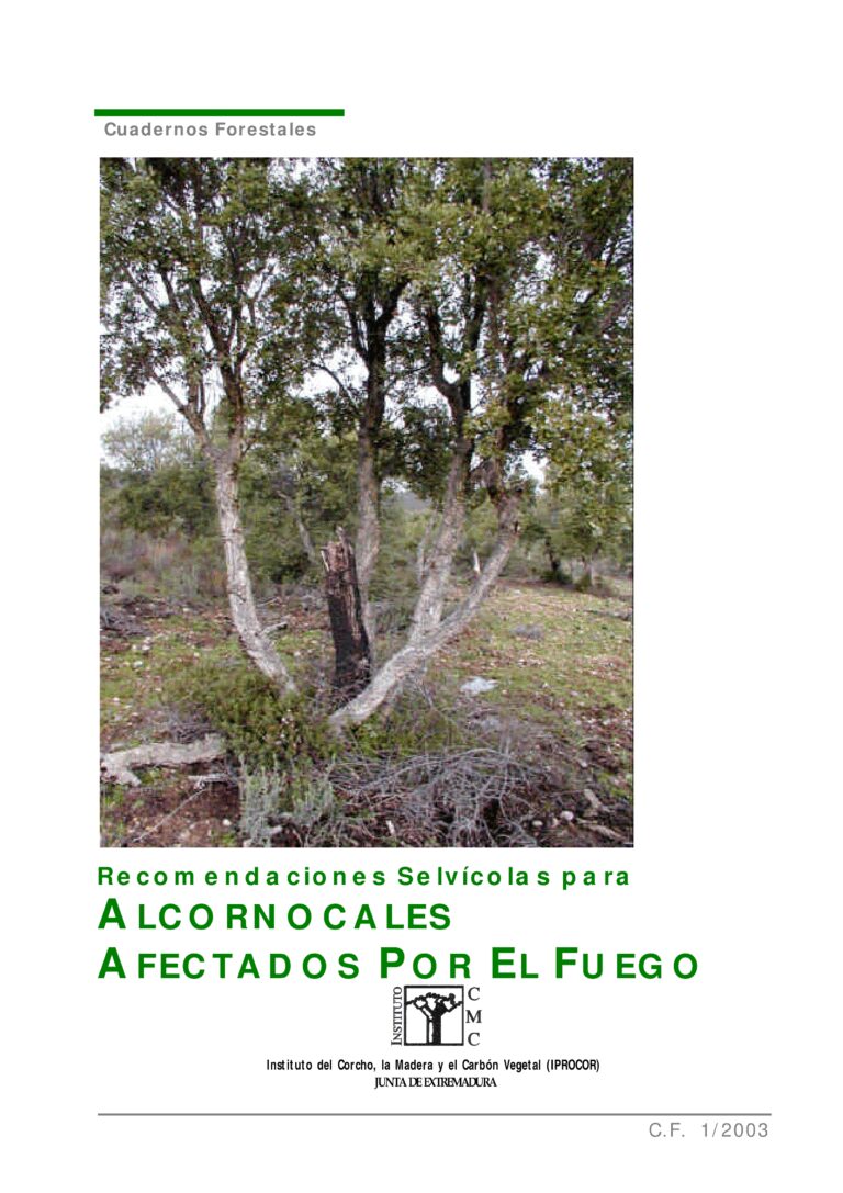 CICYTEX ofrece ayuda técnica para actuar en la regeneración de alcornocales incendiados