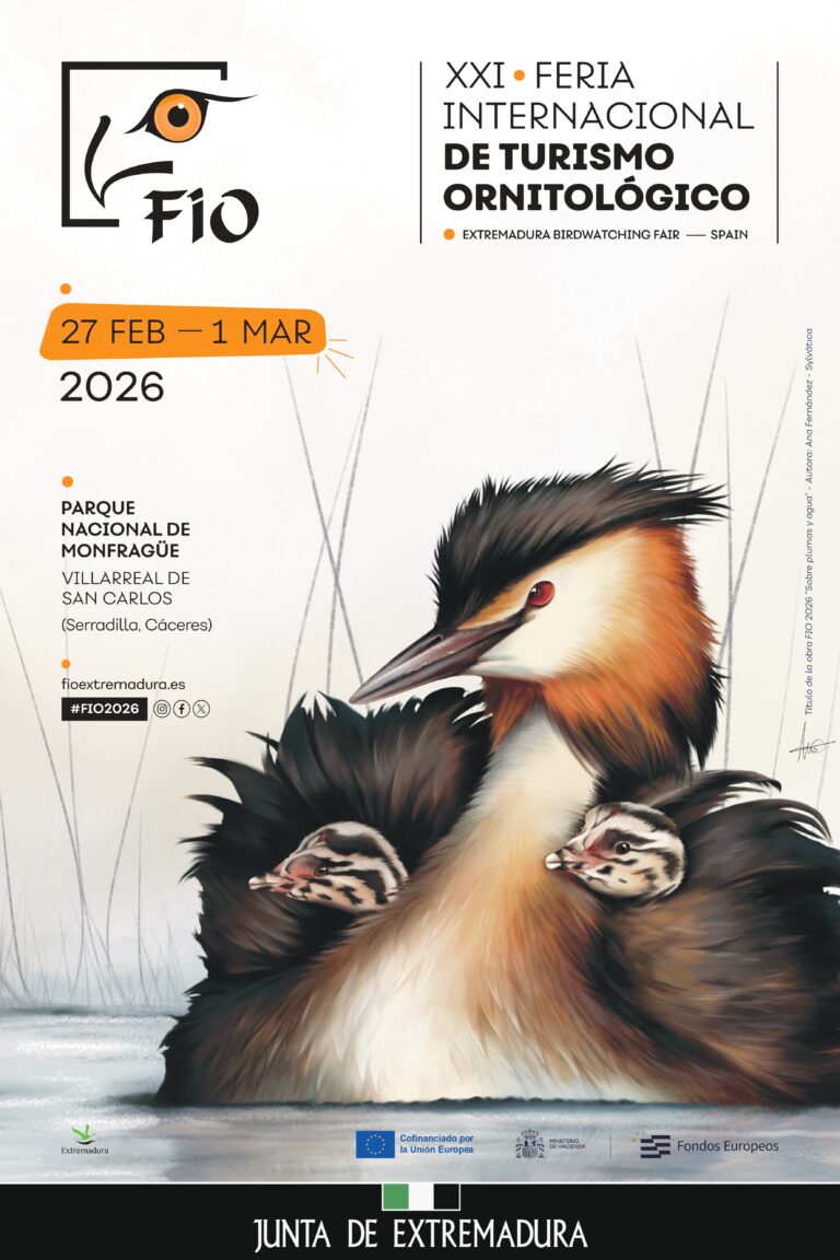 La ilustradora extremeña Ana Fernández realiza el cartel de la Feria Internacional de Turismo Ornitológico 2026