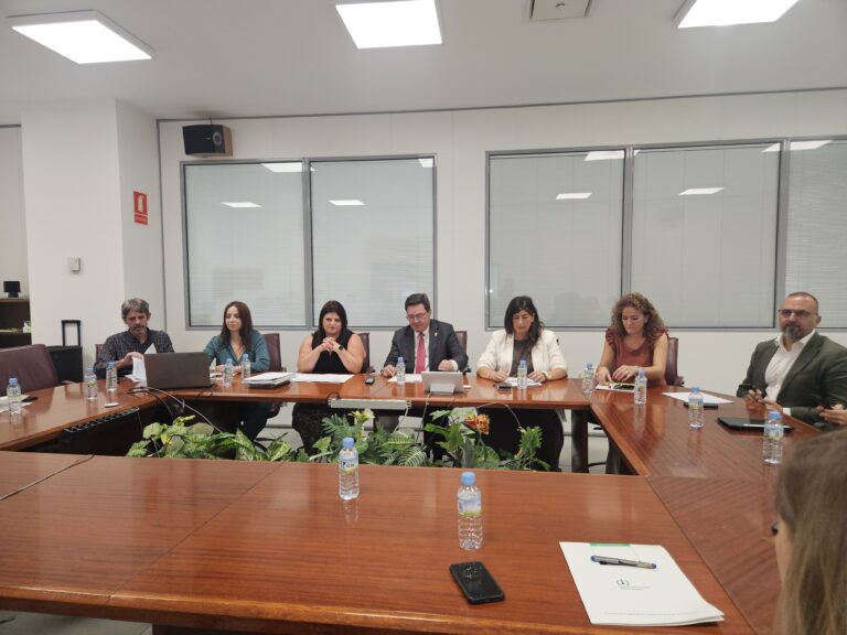 El Consejo de Comercio aprueba los festivos de apertura comercial para 2026 y constata la buena marcha del sector minorista en Extremadura