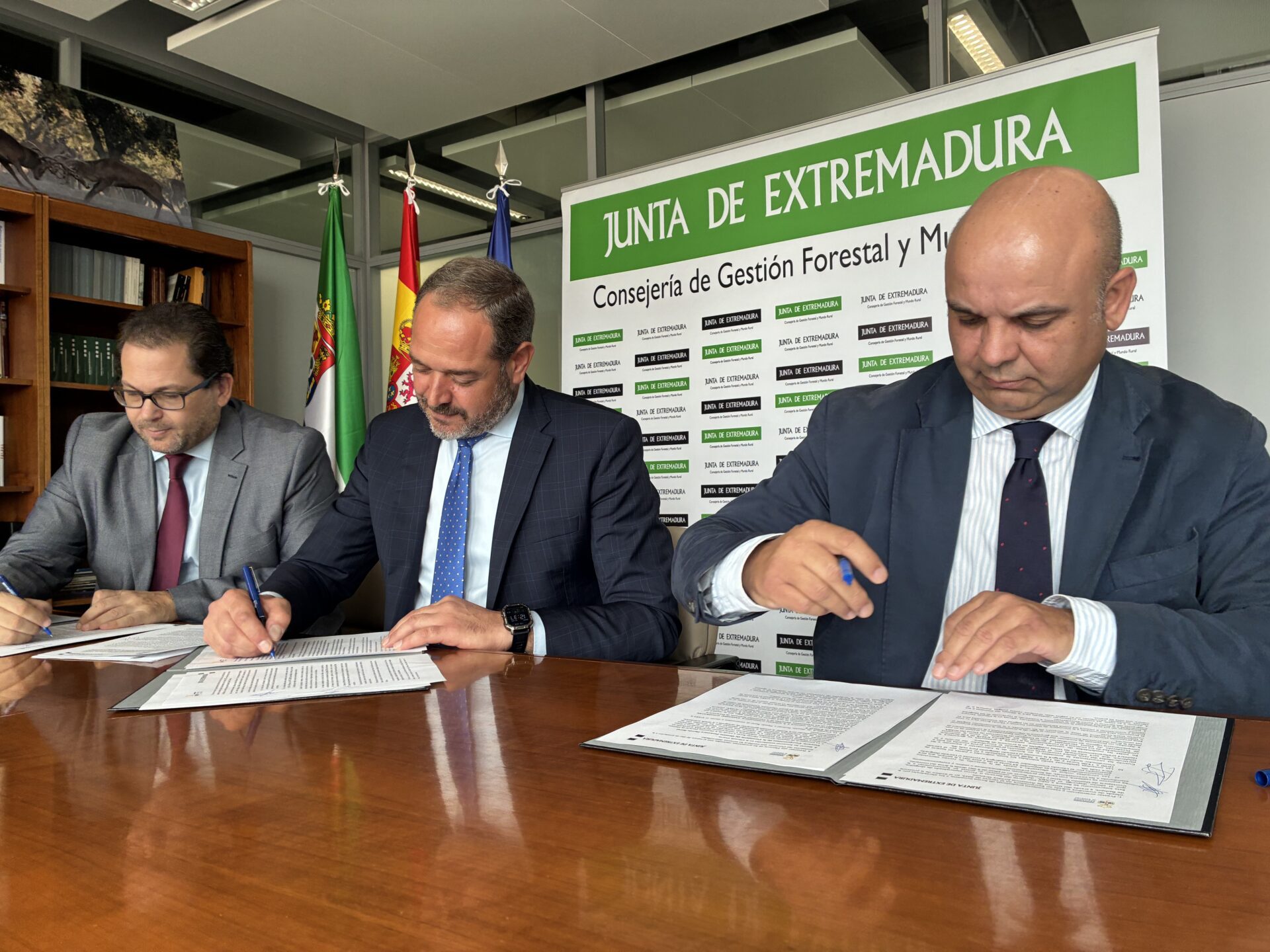 Los afectados por los incendios de este verano tendrán asistencia jurídica gratuita e inmediata