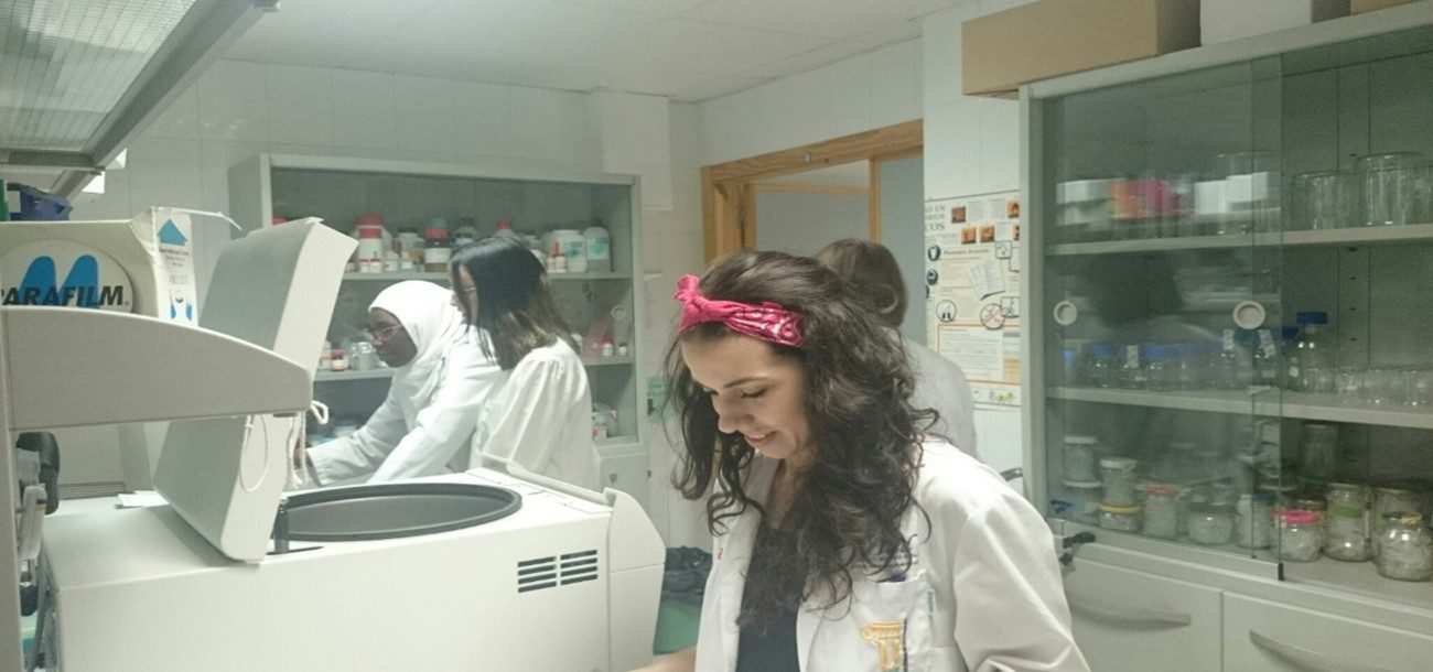 Un total de 71 proyectos de I+D+I se pondrán en marcha en los centros públicos del SECTI gracias a una inversión de más de 8 millones de euros de la Junta