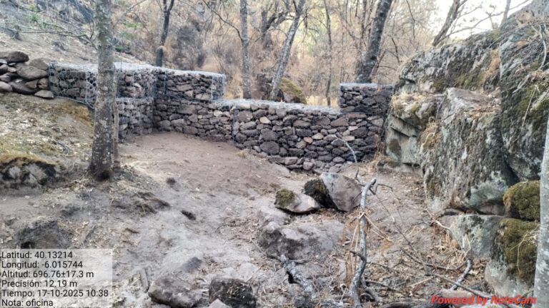 Las medidas de la Junta retrasan y reducen el arrastre de cenizas procedentes del incendio de Jarilla, un fenómeno natural y temporal