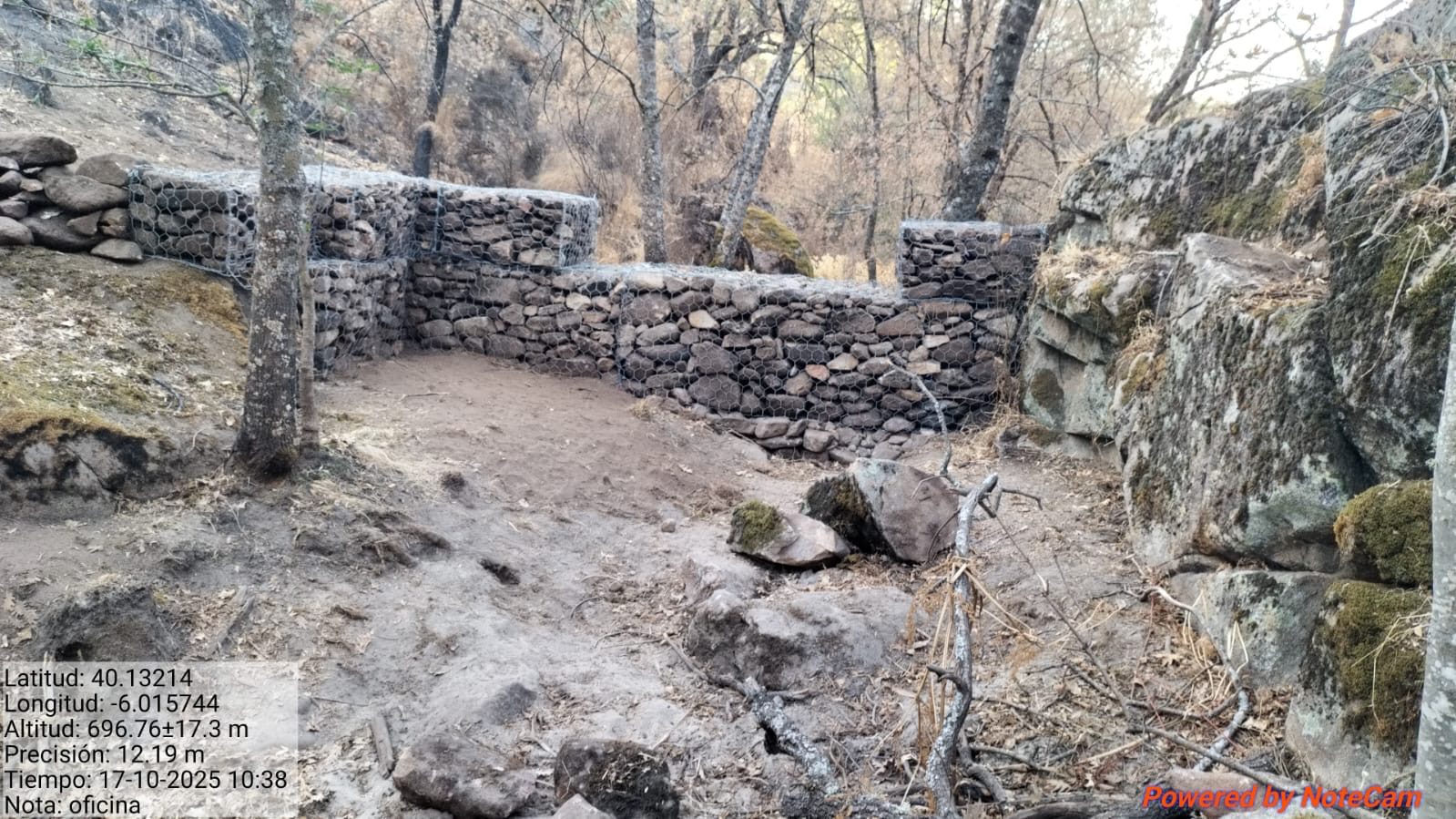 Las medidas de la Junta retrasan y reducen el arrastre de cenizas procedentes del incendio de Jarilla, un fenómeno natural y temporal