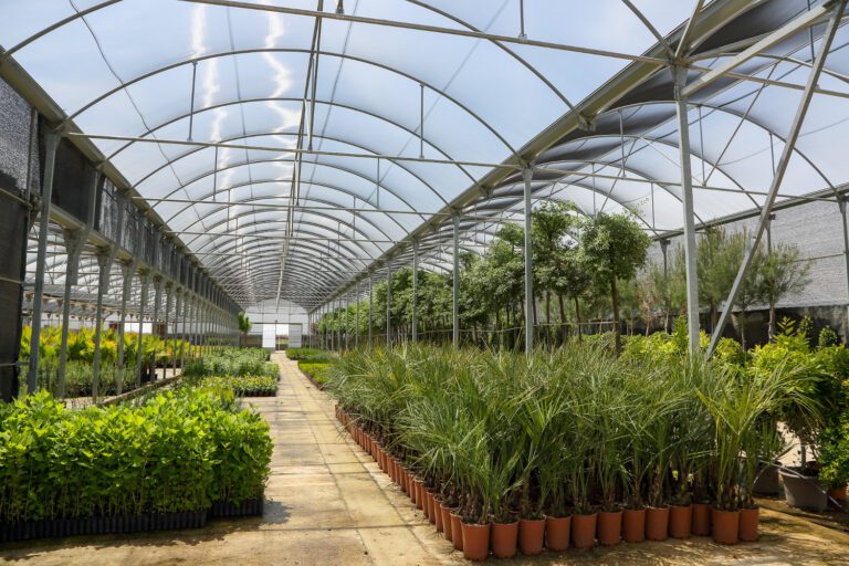 Comienza la campaña anual de suministro de plantas para la mejora de las zonas verdes municipales