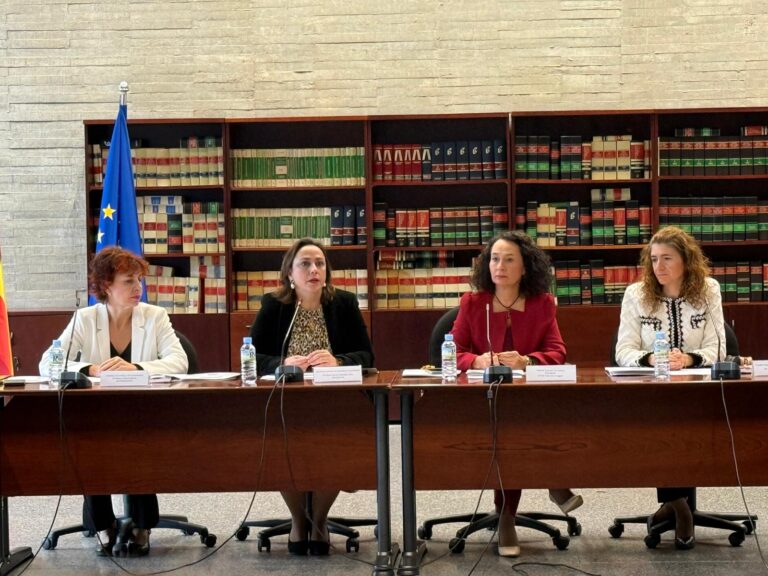 La Comisión Permanente para la Prevención y Erradicación de la Violencia de Género analiza la modificación de los reglamentos internos de la red de recursos para una mejor cobertura y coordinación