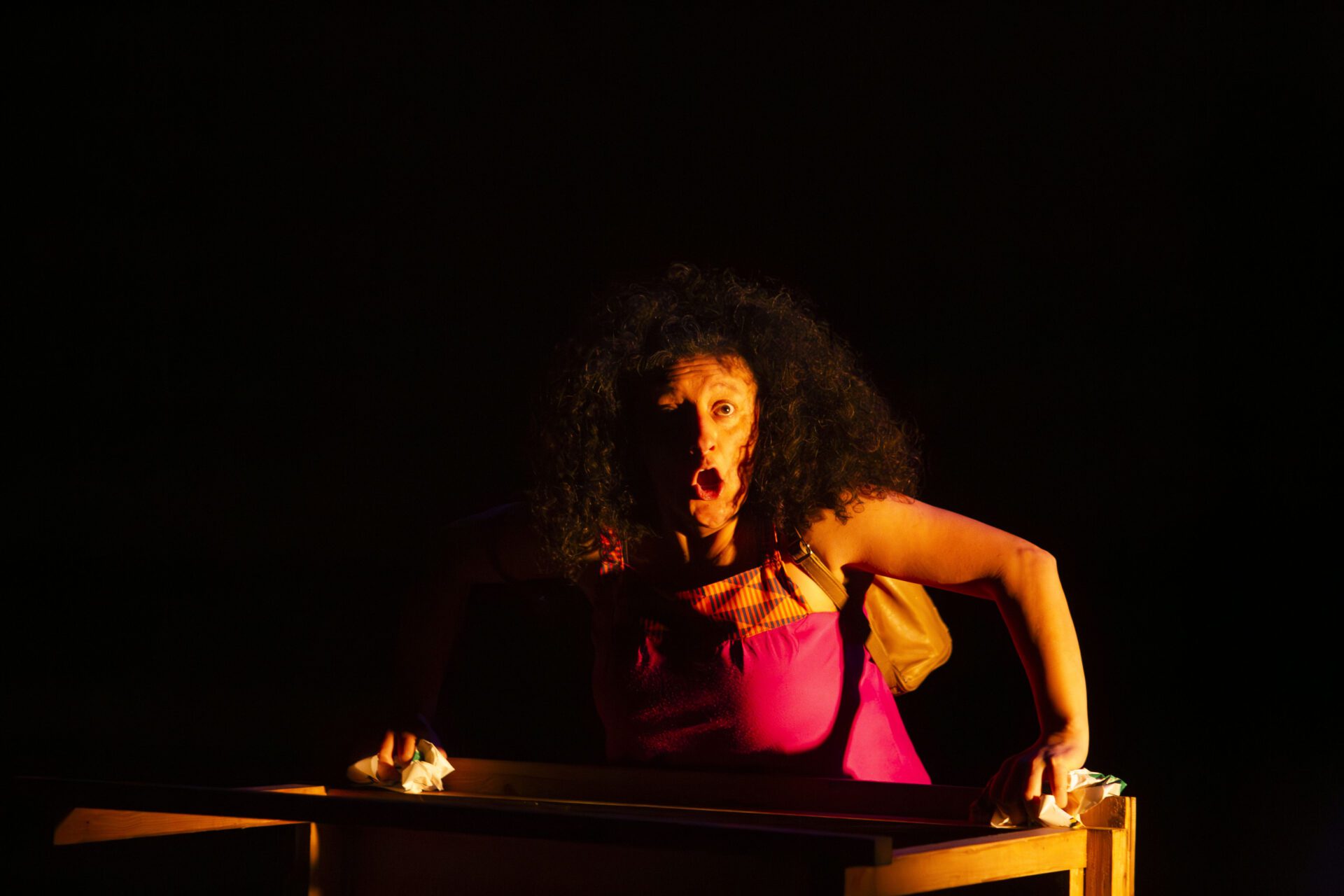 La Muestra Ibérica de Artes Escénicas cierra la X edición con 475 encuentros comerciales y un alto nivel artístico