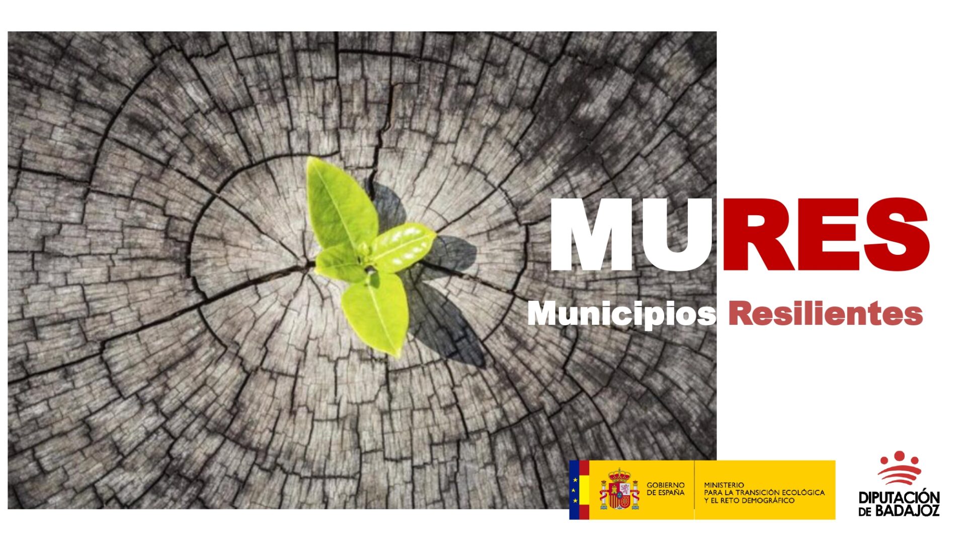 La Diputación de Badajoz licita dos contratos del proyecto MURES por más de 142.000 euros destinados a frenar la despoblación