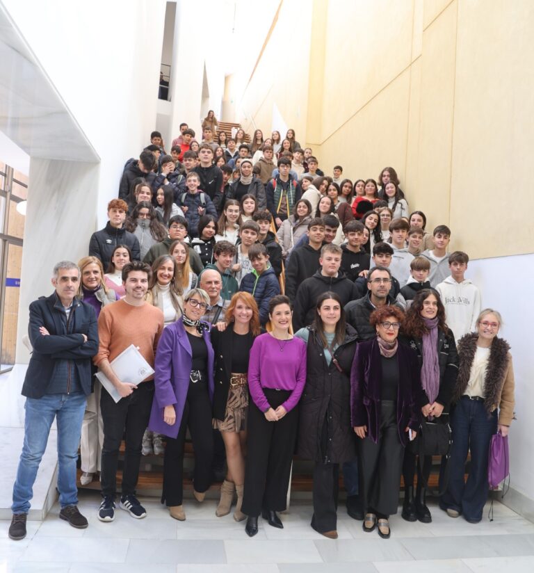 Alumnos de cuatro institutos protagonizan un pleno sobre igualdad en la Diputación, apelando a las conductas responsables on-line