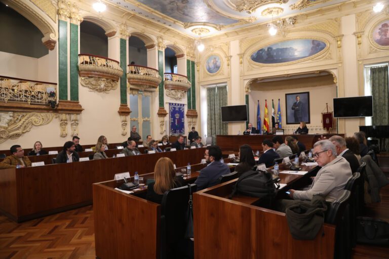 El Pleno de la Diputación de Badajoz aprueba por unanimidad el II Plan Director de Responsabilidad Social Corporativa 2025/2027