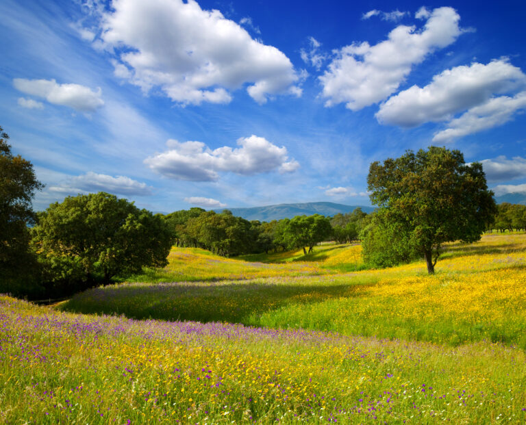 Extremadura afronta uno de los grandes puentes del final de año con una previsión media de ocupación del 90 por ciento