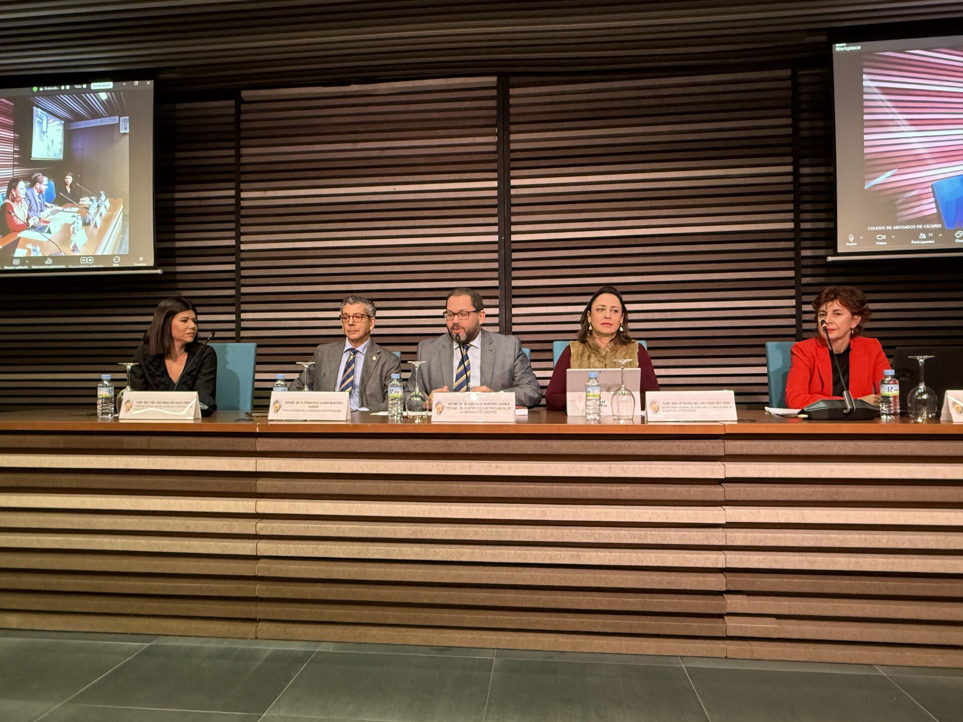 Sánchez Vera destaca la importancia de formar a los profesionales de la abogacía en violencia de género, tanto en aspectos jurídicos como emocionales