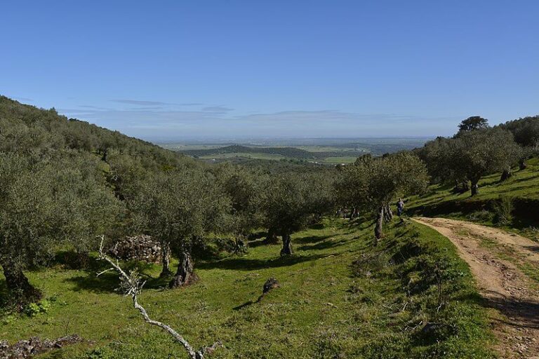 La Diputación de Badajoz licita por más de 40.000 € la asistencia técnica para la mejora y homologación de 60 senderos de la provincia