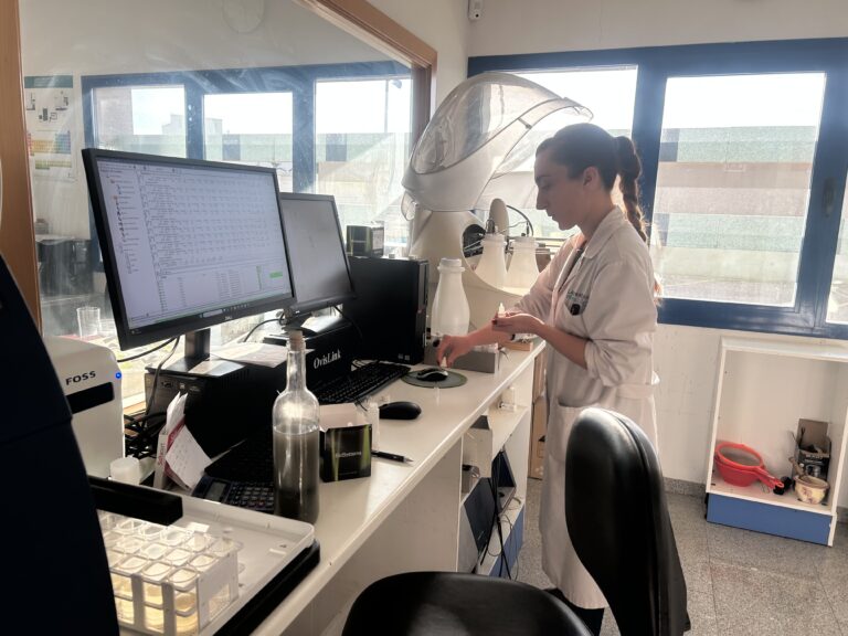 Las empresas pueden solicitar desde mañana ayudas para proyectos de investigación industrial