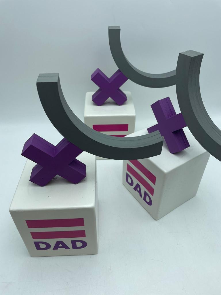 Ya se conocen los galardonados de los Premios Nuestra Provincia por la Igualdad