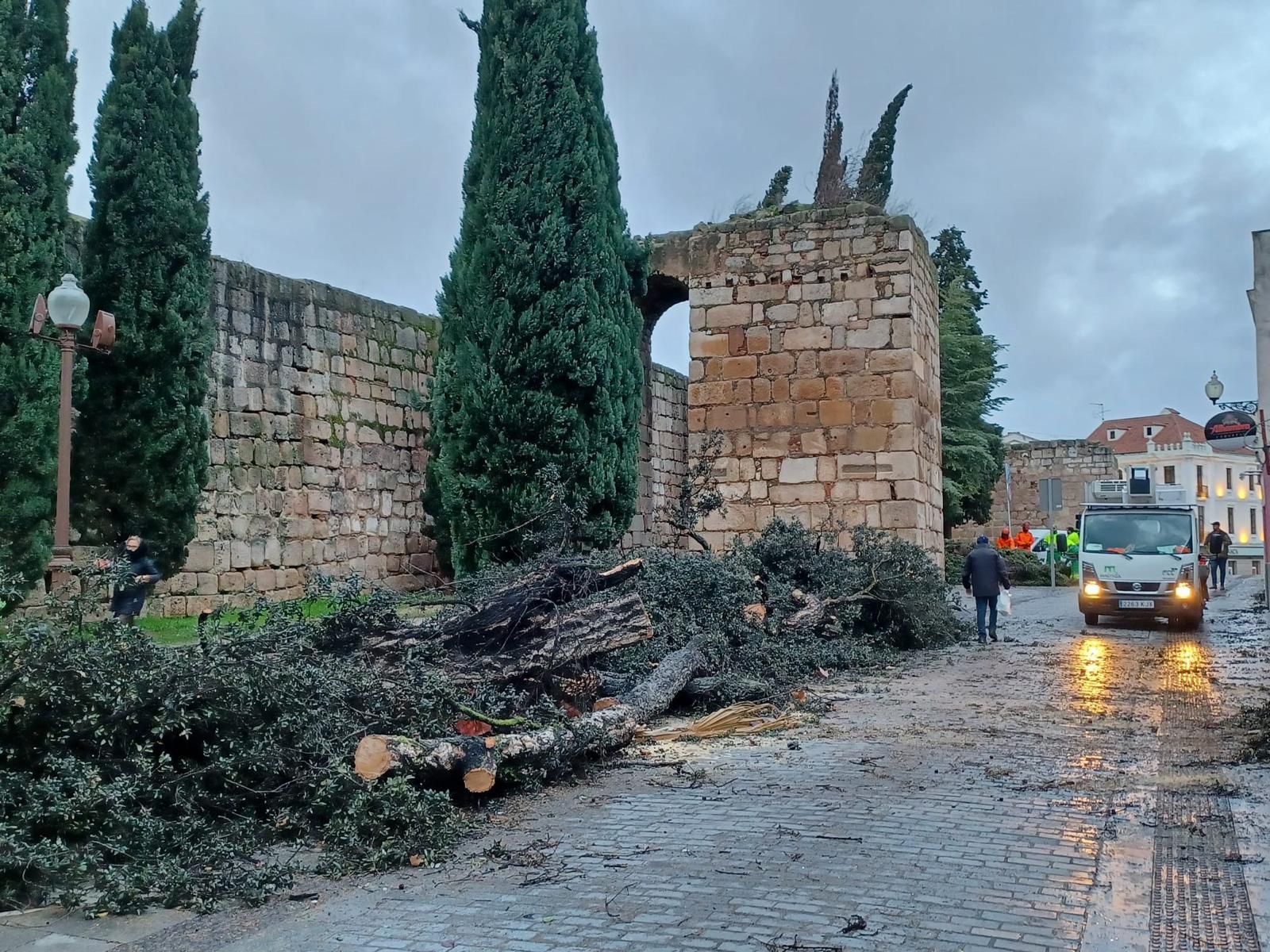 Los bomberos del CPEI intervienen en medio centenar de incidencias por el fuerte temporal de viento en la provincia