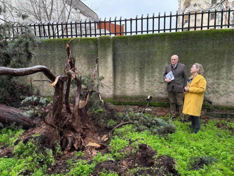 Educación informa de que se han detectado 24 incidencias reseñables en los centros educativos de Extremadura causadas por la borrasca Kristin