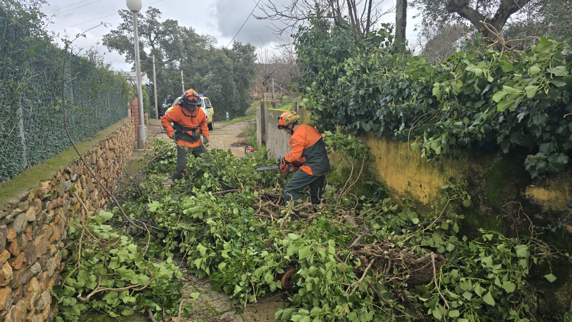 Efectivos de Infoex intervienen en 13 localidades para paliar daños materiales ocasionados por la borrasca
