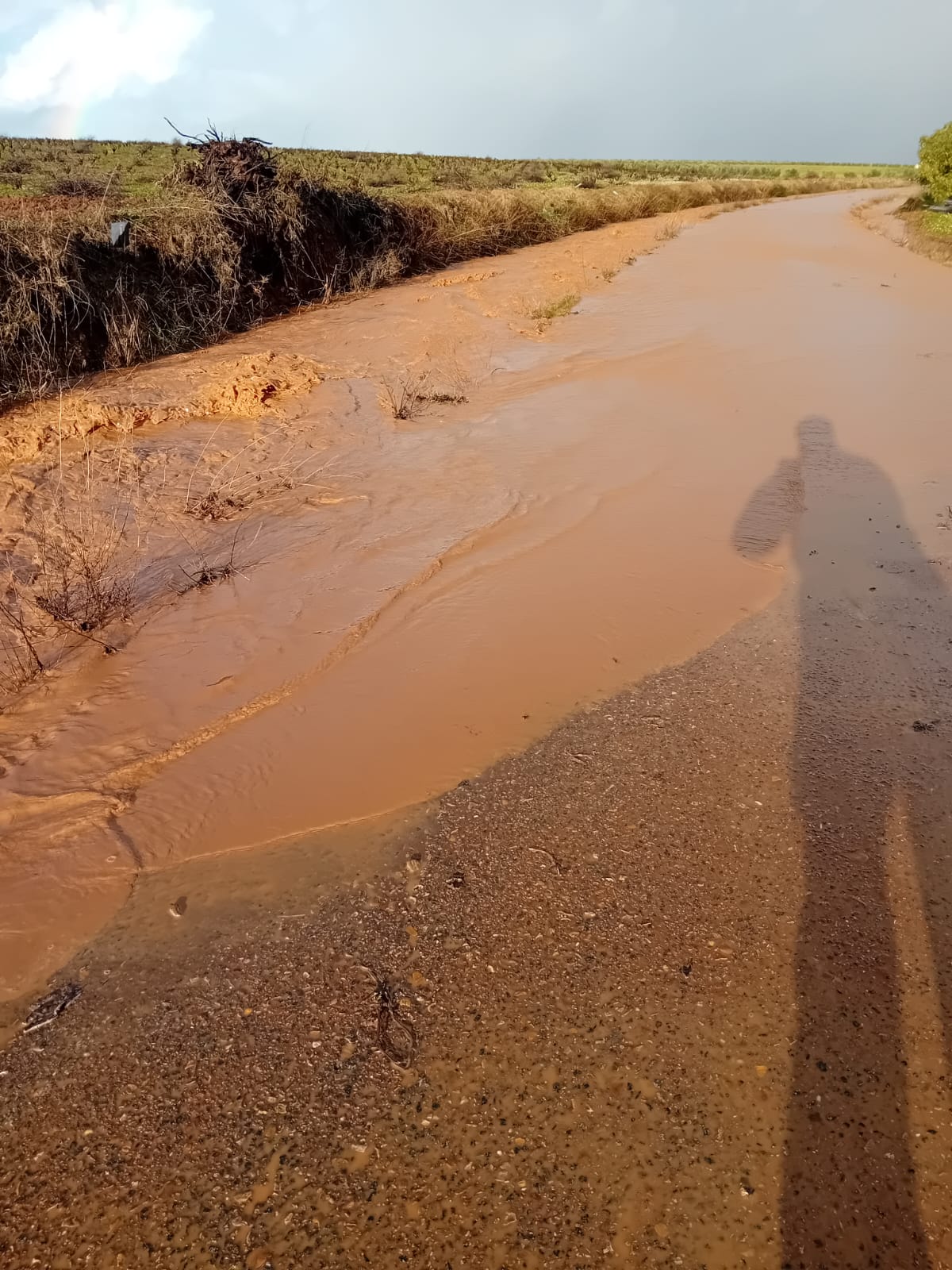 Corte de tráfico de la Carretera Provincial (BA-022) de Badajoz a Villalba de los Barros