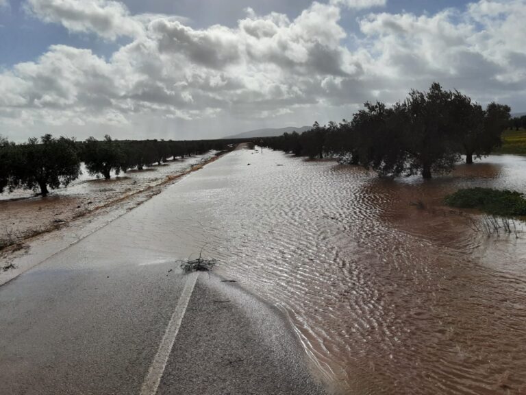 Cinco carreteras provinciales continúan cortadas al tráfico por los efectos de la borrasca Leonardo