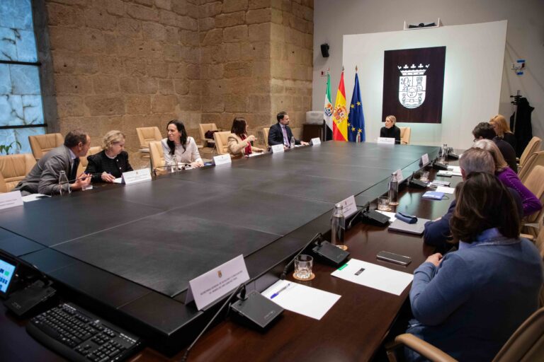 El Consejo de Gobierno da luz verde a la tramitación de un decreto para regular la carrera docente del personal de la UEX