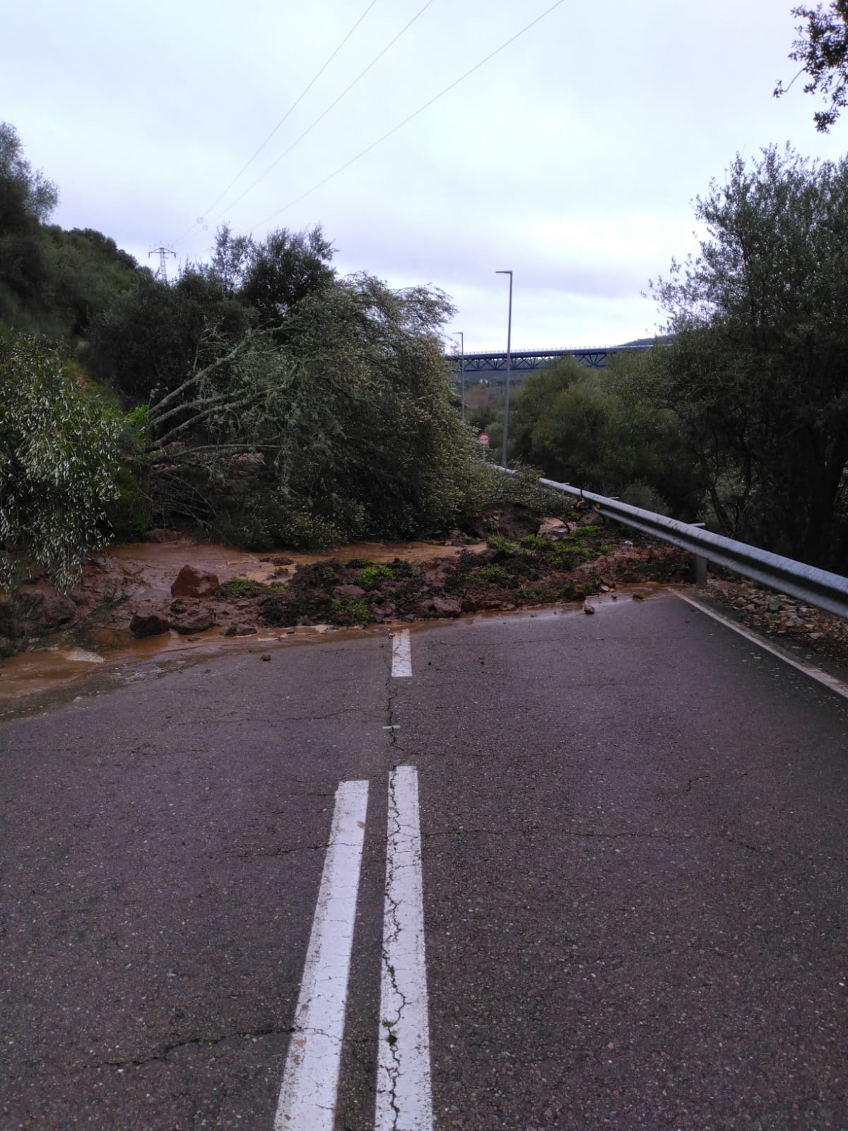 Recopilatorio del estado de las carreteras provinciales: seis vías permanecen cerradas