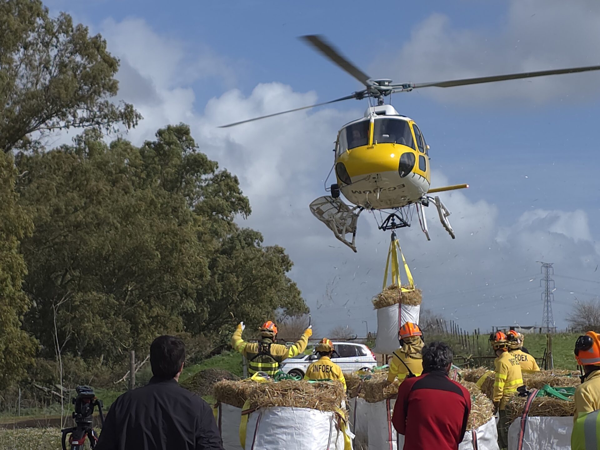 La Junta de Extremadura organiza un dispositivo para llevar alimento en helicóptero a 480 ovejas aisladas por las lluvias desde hace una semana