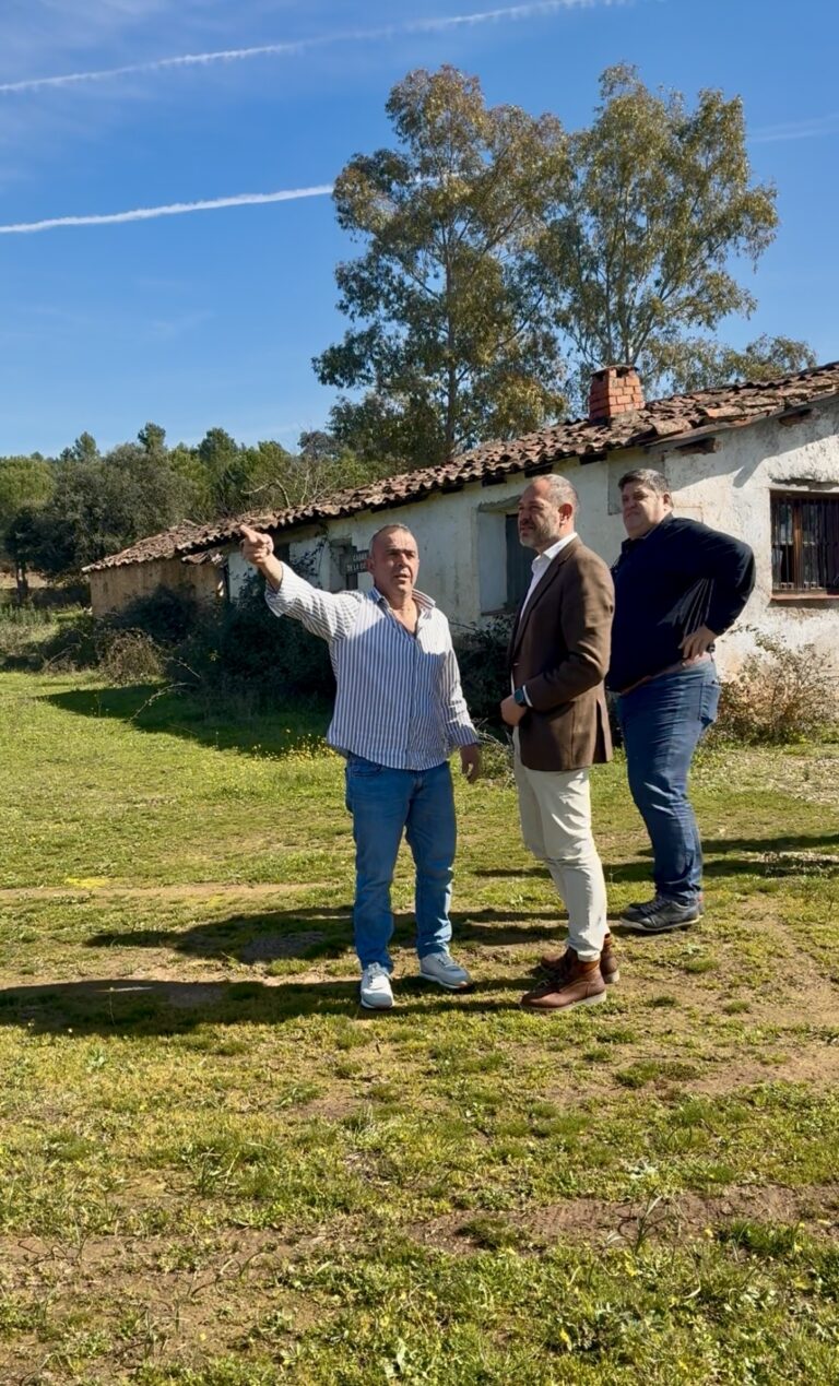 La Junta licita 24 millones en obras para mejorar sus montes y protegerlos frente a los incendios