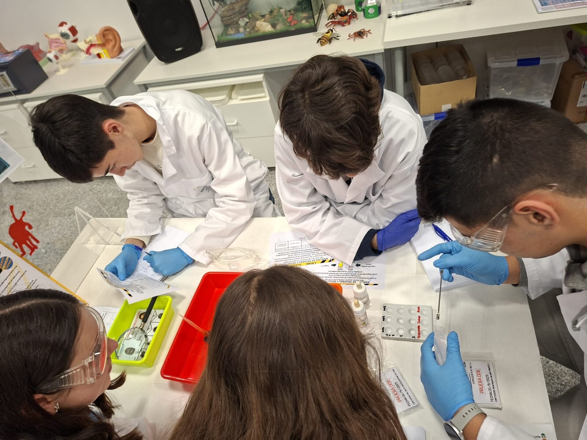 El IES Parque de Monfragüe de Plasencia gana la V edición de la Yincana STEAM Librarium