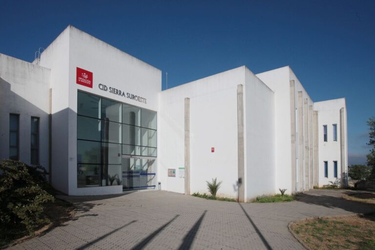 La Diputación de Badajoz colabora con el Gobierno de España para facilitar en Jerez de los Caballeros la tramitación de ayudas por el temporal