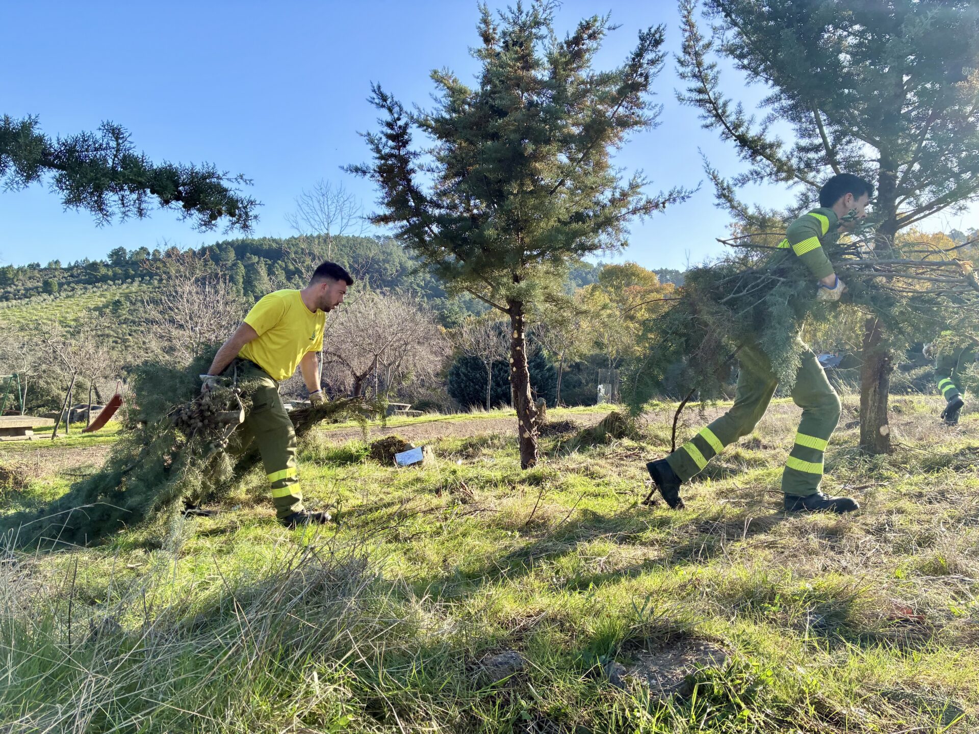 La Junta de Extremadura recuerda que la quema de restos vegetales en esta época está limitada por su riesgo de incendio forestal
