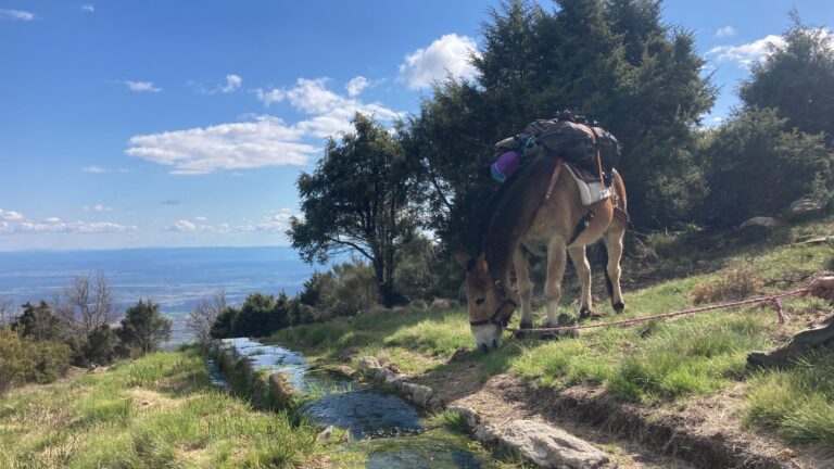 La Junta de Extremadura amplía su catálogo de montes protectores con la incorporación de Coto Sierra, en la comarca de La Vera