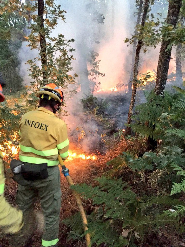 La Junta celebrará las pruebas de la oposición para 195 bomberos forestales y 29 agentes del Medio Natural entre abril y mayo