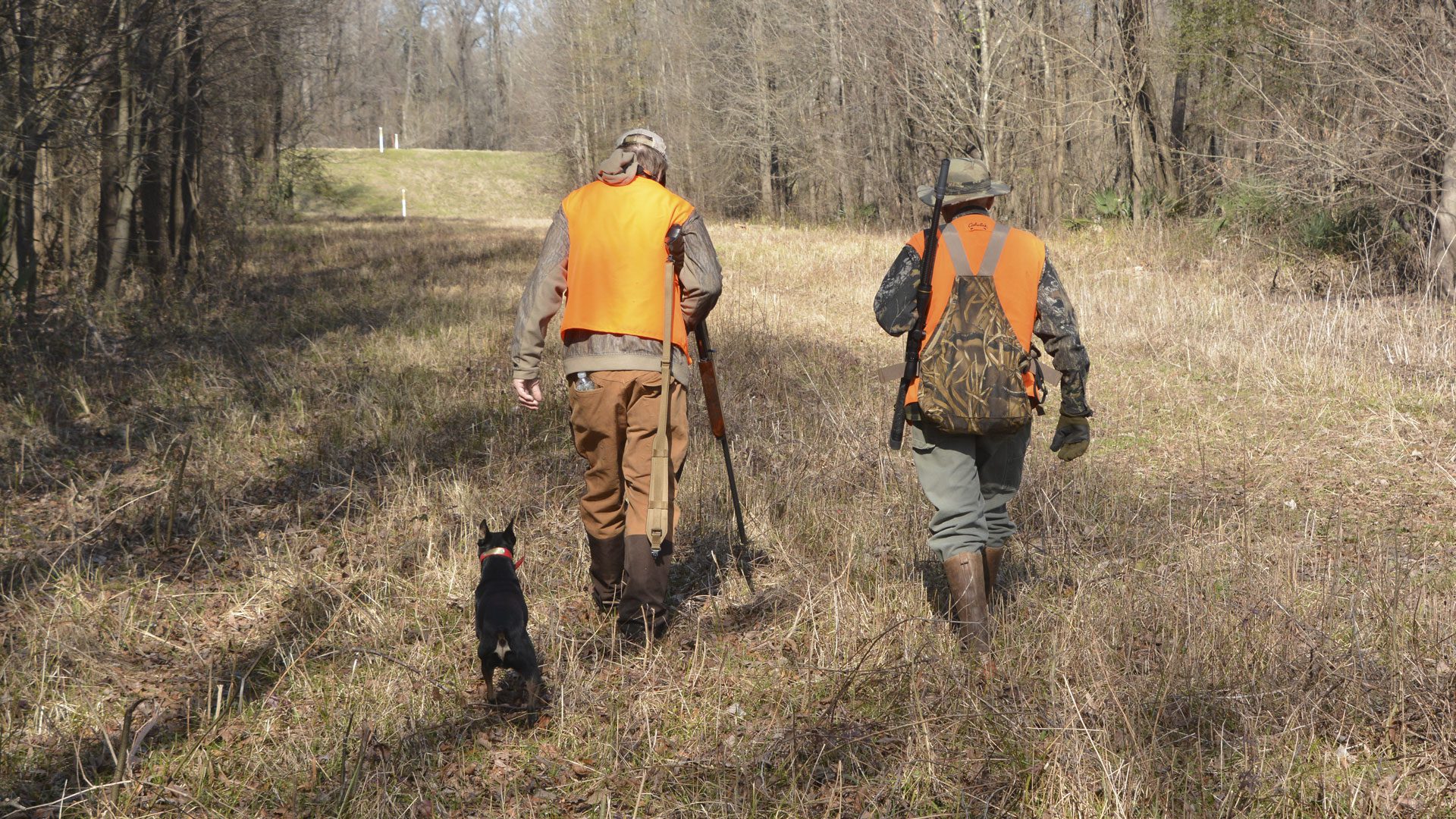 La Junta de Extremadura adelanta de noviembre a septiembre el plazo para presentar las solicitudes a su oferta pública de caza