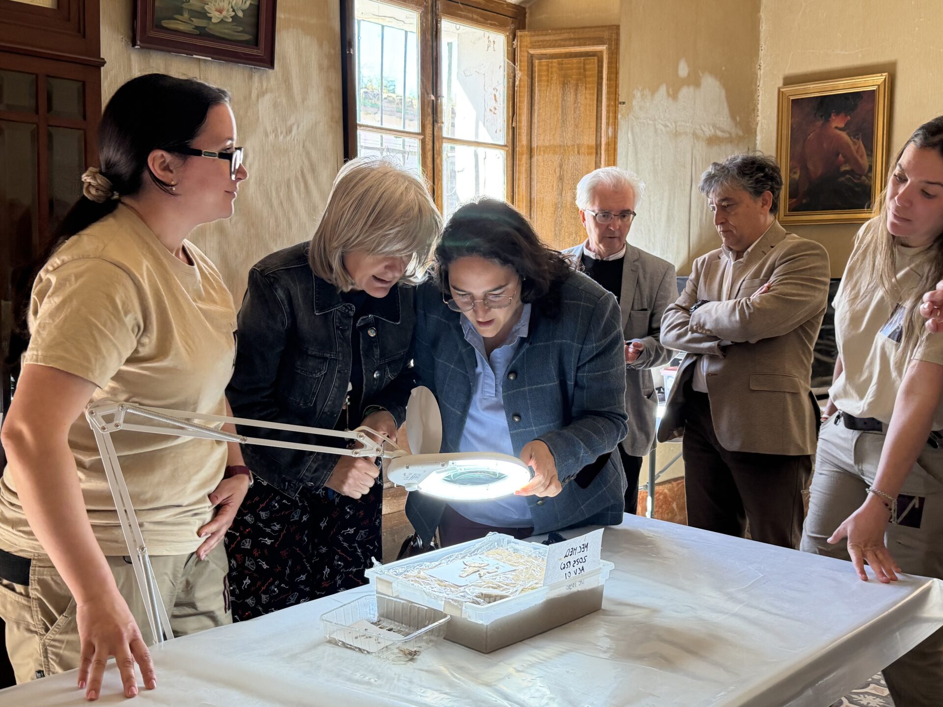 Victoria Bazaga destaca el potencial de la necrópolis de Medellín en la inauguración de una exposición con los hallazgos más recientes