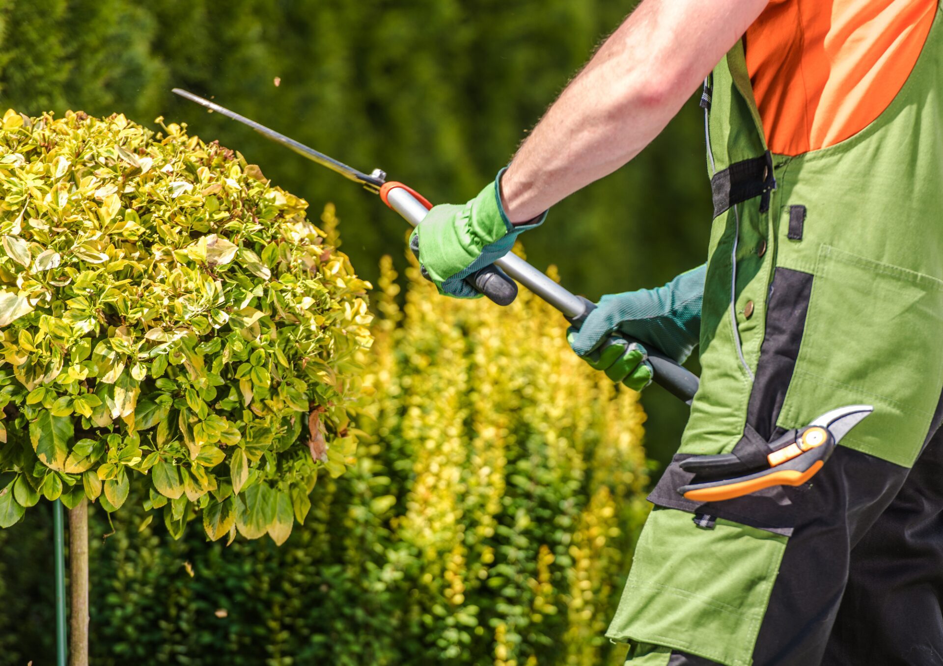 El DOE publica las ayudas del Programa de Colaboración Económica Municipal de Empleo para que los ayuntamientos contraten desempleados
