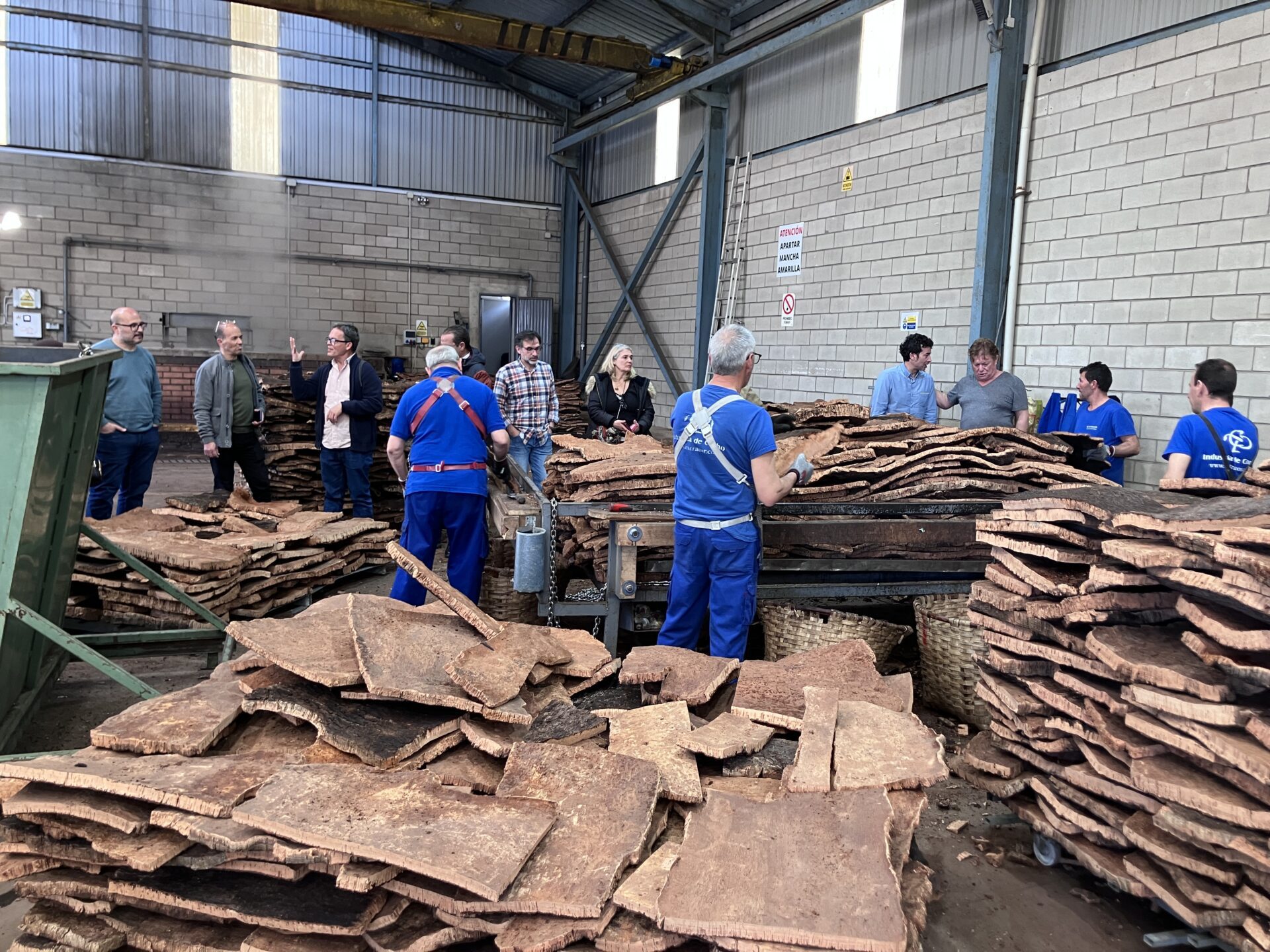 CICYTEX participa en el proyecto internacional CorkMed junto a Portugal, Argelia y Túnez para mejorar la producción y calidad del corcho