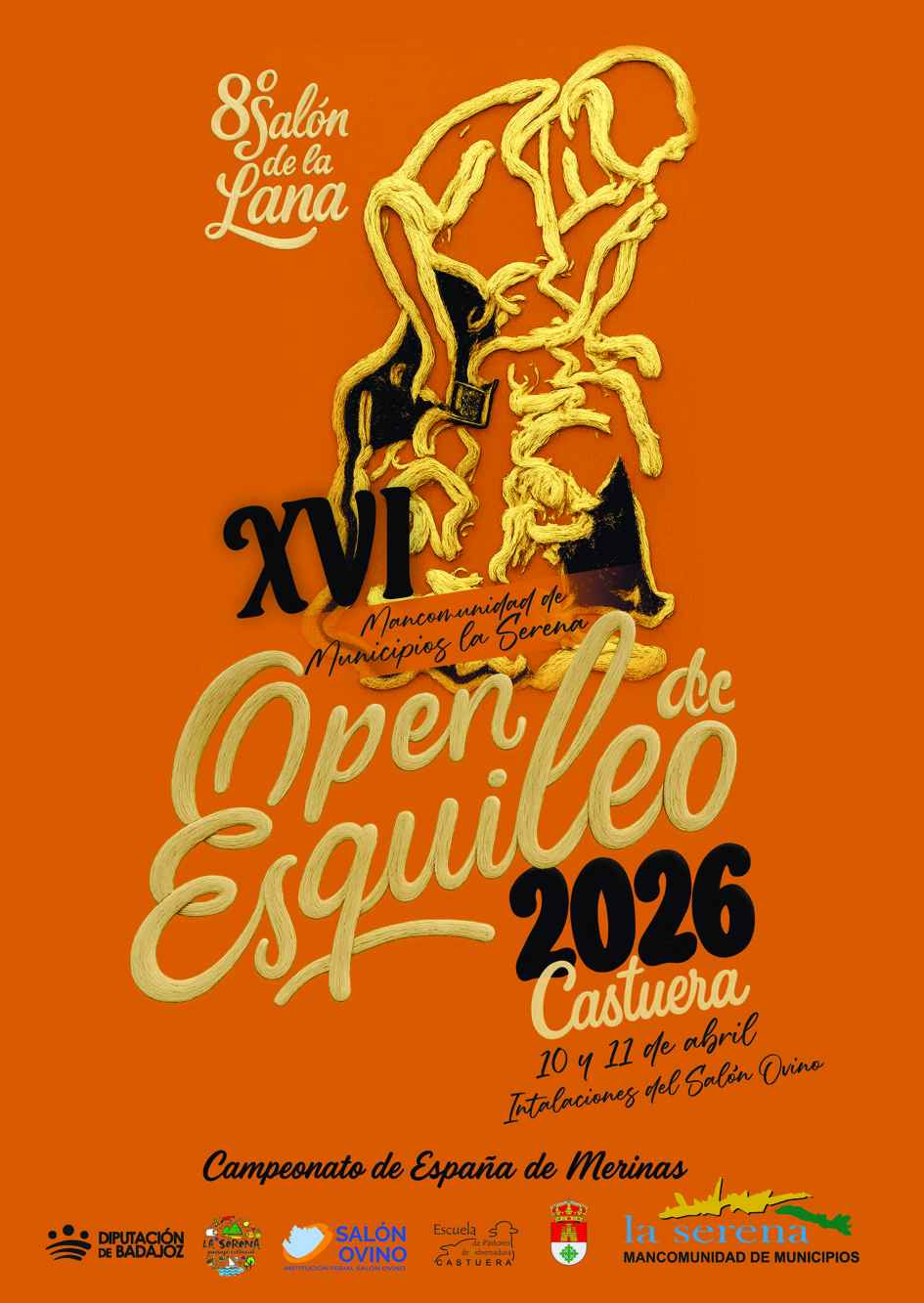 Castuera se convierte en el epicentro nacional del esquileo con el XVI Open de Extremadura