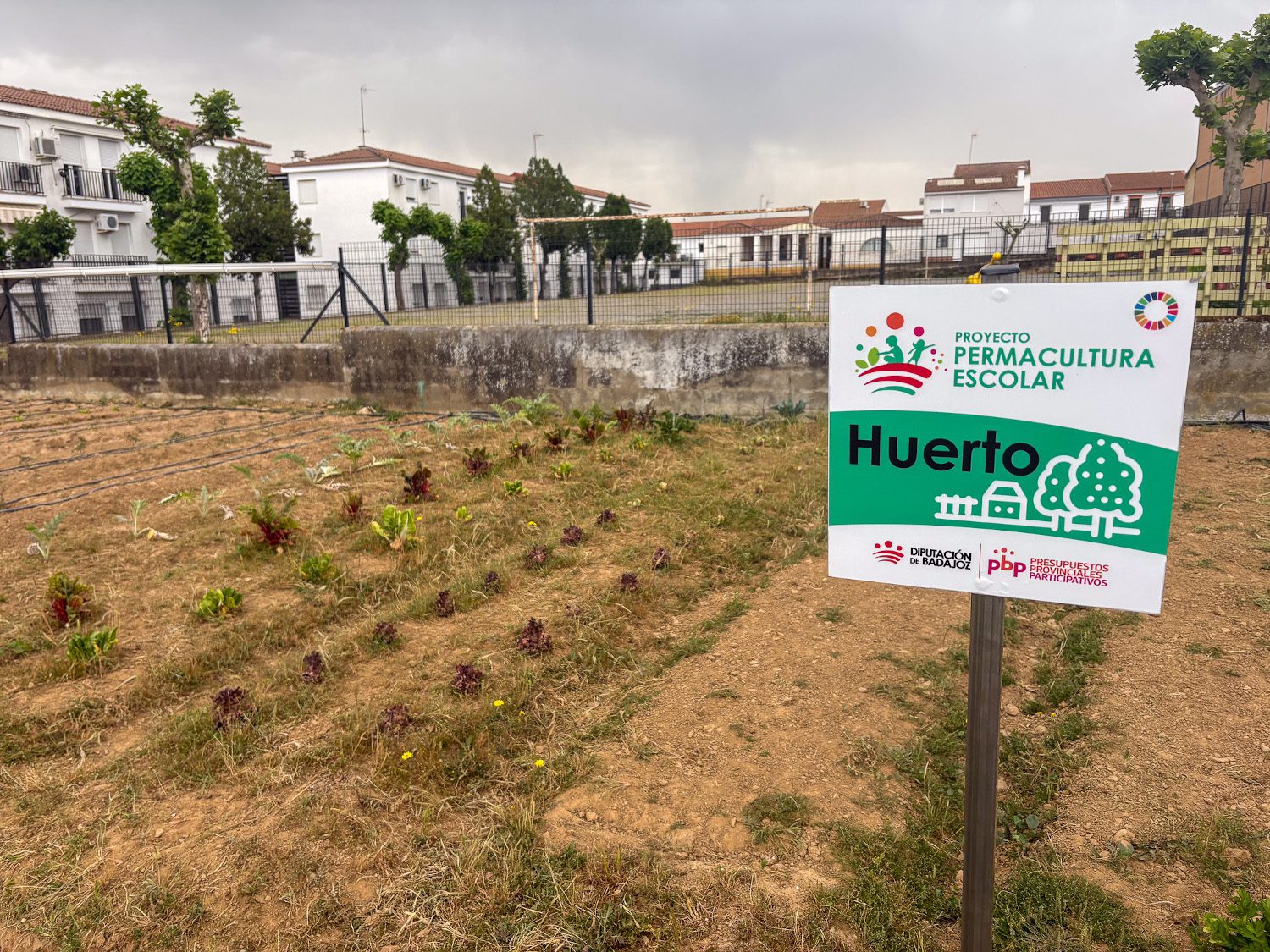 La Diputación de Badajoz celebra jornadas de puertas abiertas en los dos colegios del proyecto de permacultura escolar